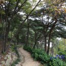 포레스트 12 자연휴양림 이미지