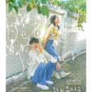 홍심 | 이것저것 후기