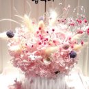 다라케이크 이미지