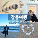 GS25 강릉교동중앙점 | 강릉 1박 2일 여행 코스 추천- 맛집 · 소품샵투어 · 카페 · 안목해변 · 월화거리 · 강릉중앙시장