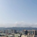 아지나라 이미지