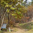 강선암주차장 이미지