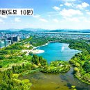 장항동 법원 이미지