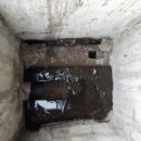 성원주유소 이미지