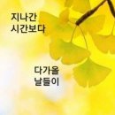 뮤직가든 Daum카페