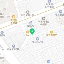 강남 요미독앤캣 강아지 분양 고양이 분양 이미지