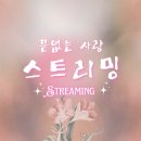 🌻OST 스밍 플리(1hr) 준비 이미지