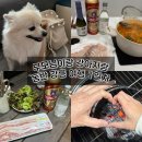 국내 여름 여행지 추천 가족 여름 휴가 애견동반 여행 강릉 여행 1일차