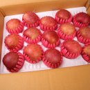 청송상회 이미지