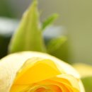 김밥광장 이미지