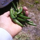 동혜농장 이미지