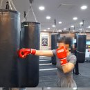 슈가복싱 프리미엄 하계점 이미지