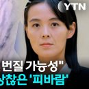 김정은 급사후 후계자 될 13세 김주애와 수양대군같은 무자비한 고모 김여정 사이 이미지