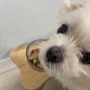 마롱가든 이미지