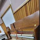 신명초등학교 이미지