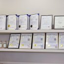 도그다움 이미지