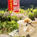 황후수제갈비 네이버블로그