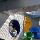 규용농장 이미지