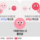 이엠팜 이미지