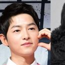 루이스테이 이미지