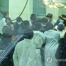 "폐사 돌고래 가슴안에 혈액 고여…호흡곤란 유발" 이미지