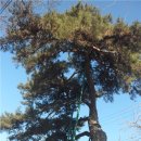 원주굽이길 5코스 호국의길 | 원주굽이길 1