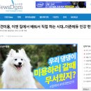 애견시대 이미지