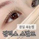 잠실 속눈썹펌 필릭스스칼프 일주일 지난 후기