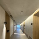 굿모닝관광호텔 | 경주 키녹호텔 후기 | 애견동반 숙소, 뚱지랑 행복한 주말 여행