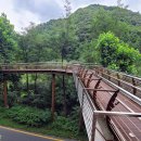 힐링 행정사사무소 이미지