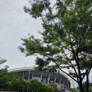 세븐일레븐 부산덕천2점 | 부산 사직야구장 우천 직관 후기 (135블럭 1열 시야)