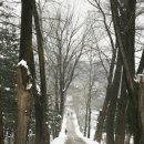 인성목장 이미지