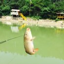 두밀리낚시터 이미지