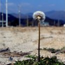 행복을다리는집 이미지