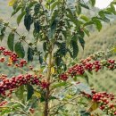 주명농장 이미지