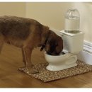 개밥그릇 이미지