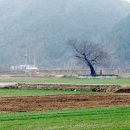 봉하농촌 체험마을 이미지