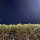 공공용 99 이미지