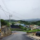 샘터산삼가든 | 산삼삼계탕 먹고싶을때, 나만 알고 싶은 곳 [샘터산삼가든]