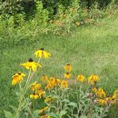 지금이 힐링할 때 이미지