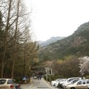 선장대형카 이미지