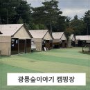 광릉숲이야기캠핑장 키즈존 풀타프 키즈캠핑장