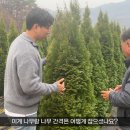 그린농장 이미지