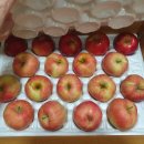 윤서농장 이미지