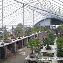 금현농장 이미지