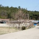 갓골농장 이미지