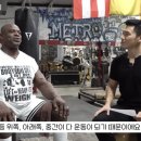 에이치피티 이미지