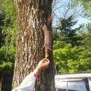 그린매점 이미지