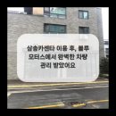 동산동카센타