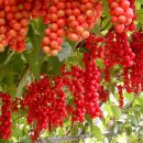 성준농장 이미지